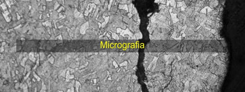 micrografia